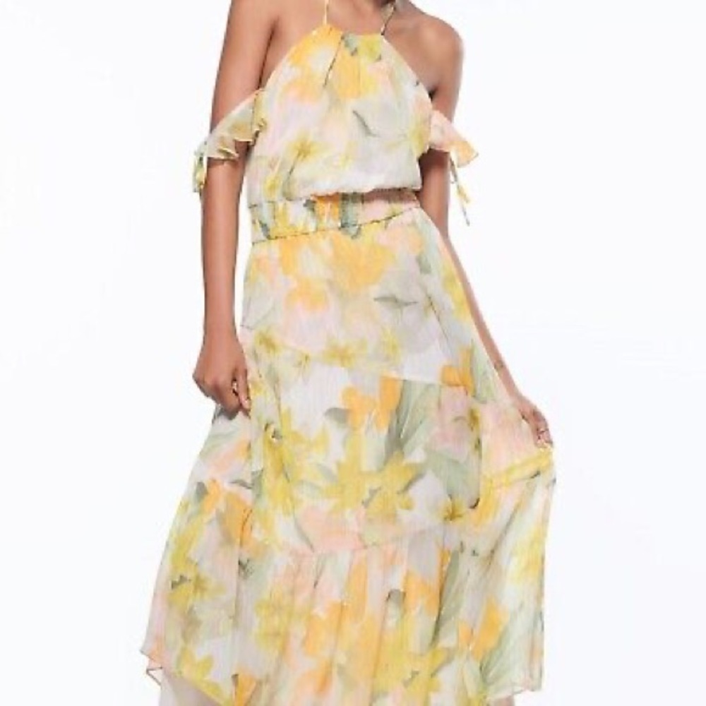Zara Metallic Thread Floral Print Ruffle Dress NWT Size XL - Picture 3 of 16